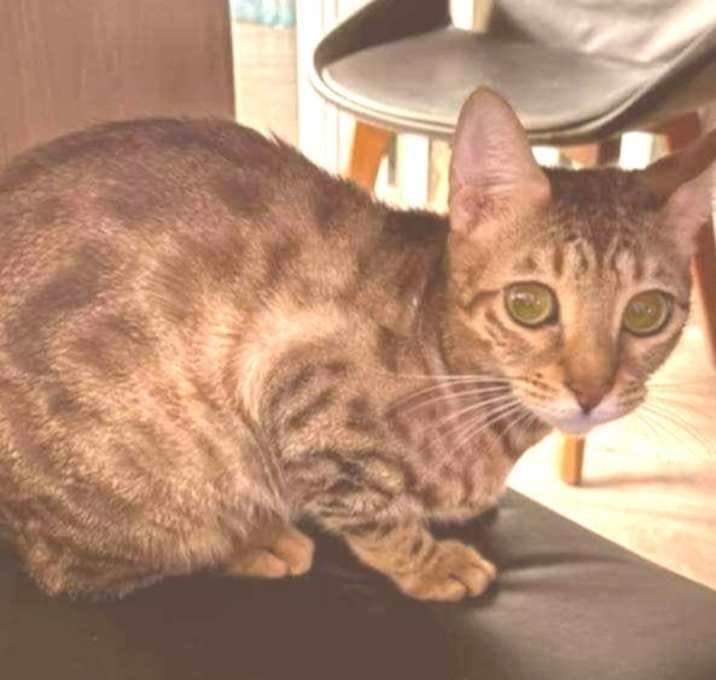 Photo of Gertrude (Trudy)