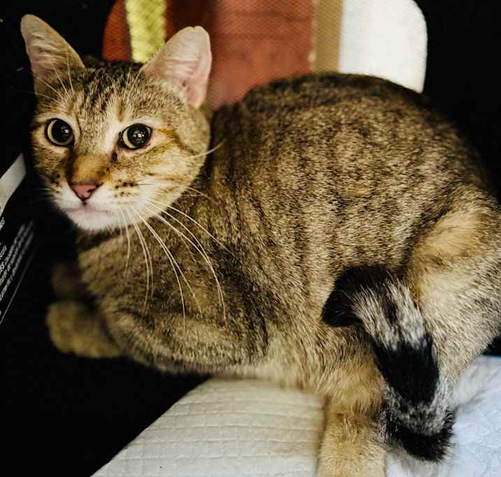 Photo of Maxie