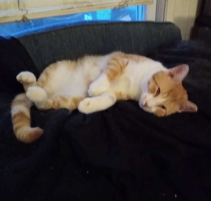 Photo of Mr. Charming