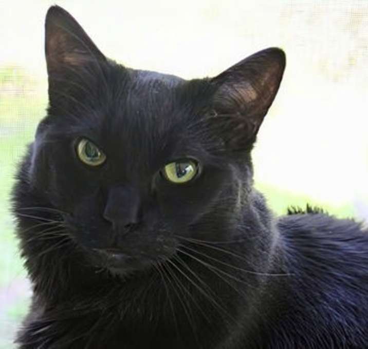 Photo of Manny