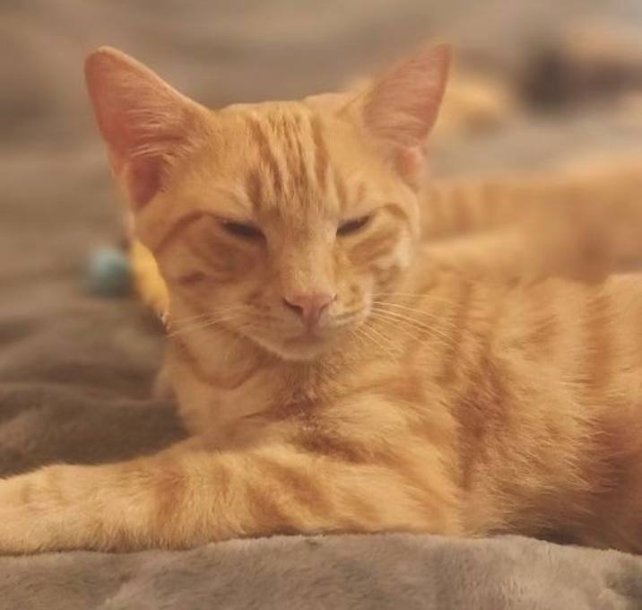 Photo of Oliver