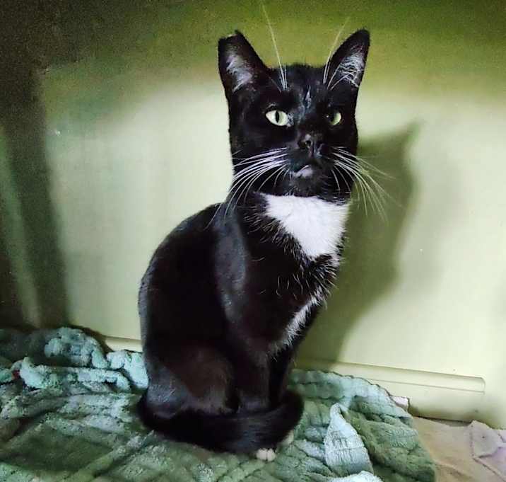 Photo of Molly
