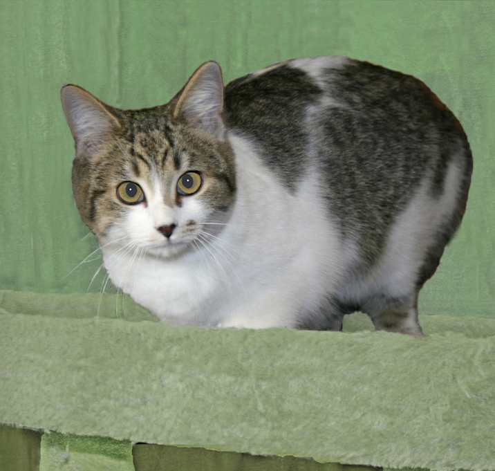 Photo of Franny