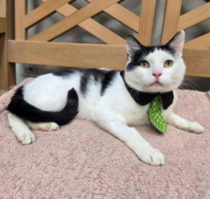 Photo of Oliver