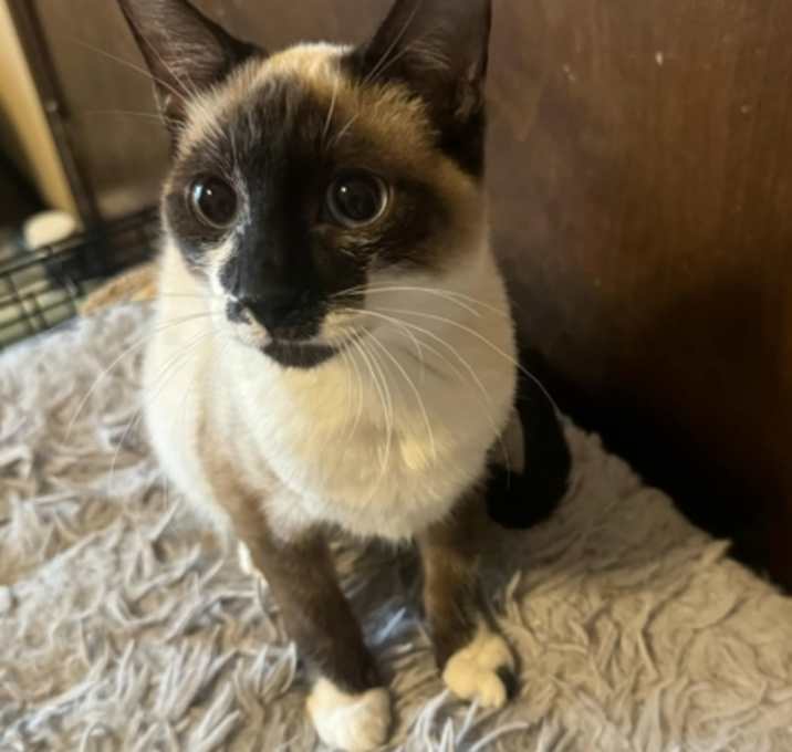 Photo of Theo