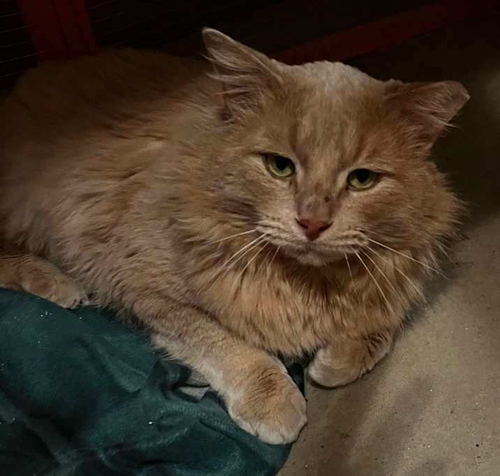 Photo of Jasper