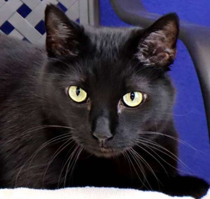 Photo of Wally