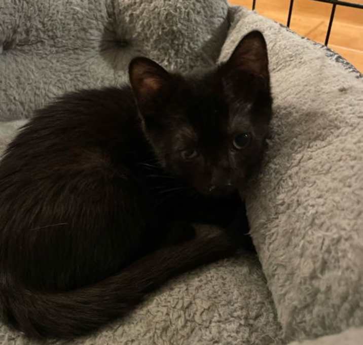 Photo of Gia