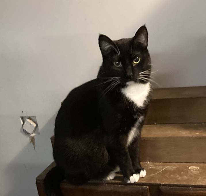 Photo of Squeaker