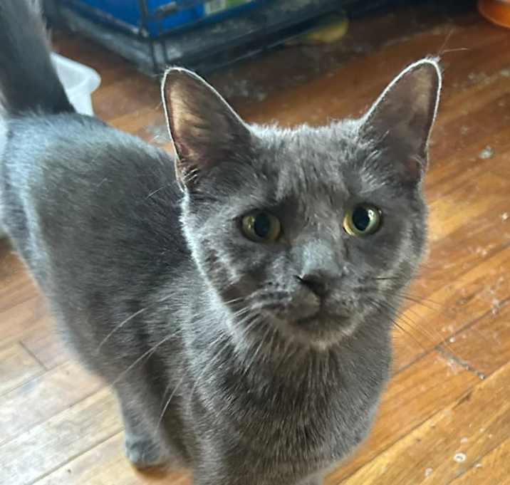Photo of Wally