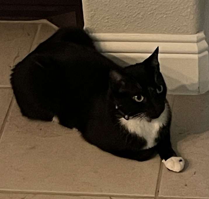 Photo of Bob