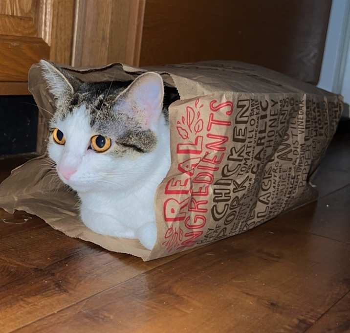 Photo of Mavis