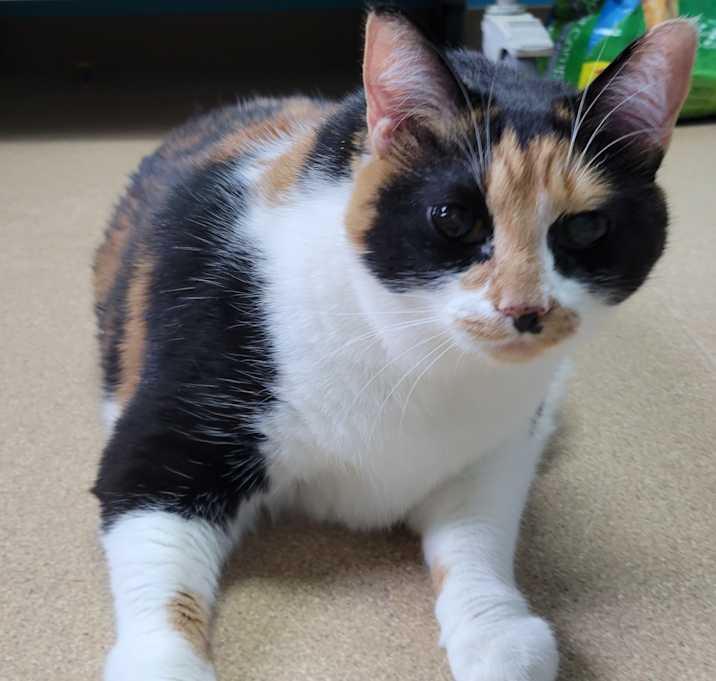 Photo of Roberta