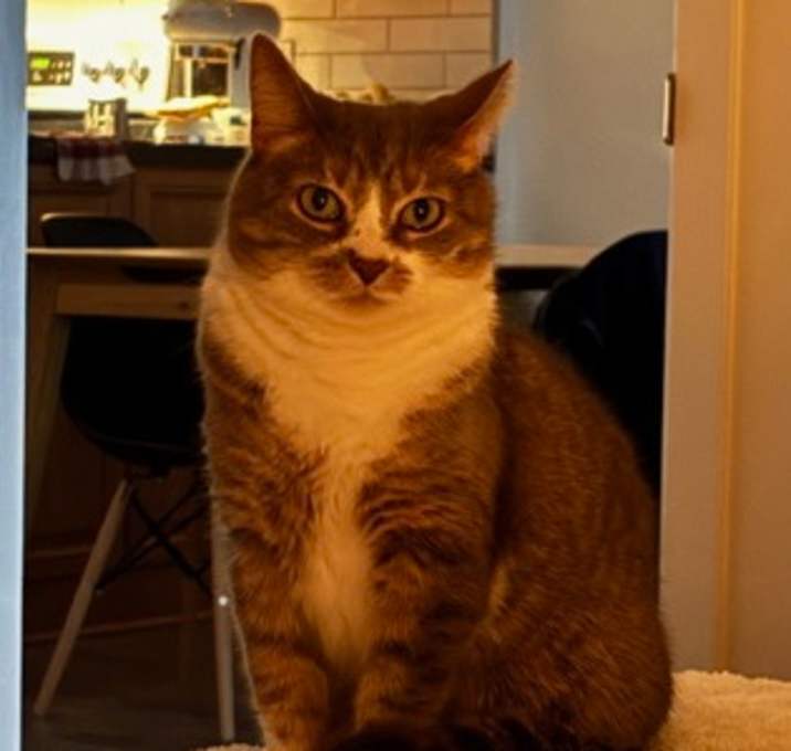 Photo of Betty