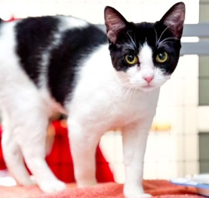 Photo of Bonbon