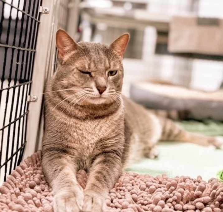 Photo of Charlie