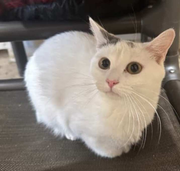 Photo of Dottie
