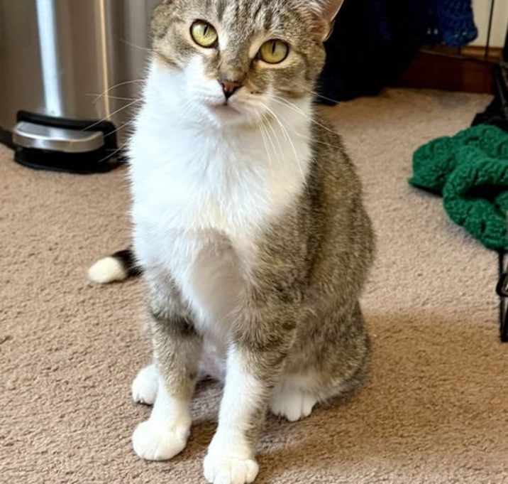 Photo of Lovey