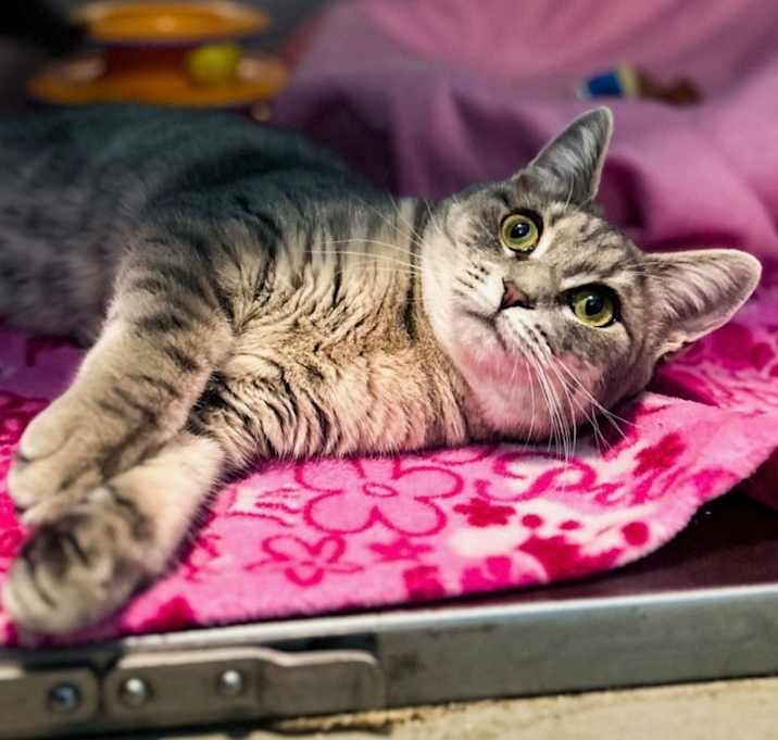 Photo of Penelope