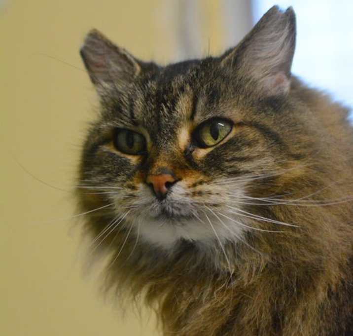 Photo of Gina