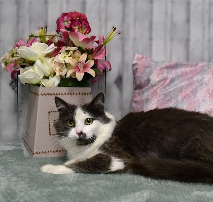 Photo of Glenna