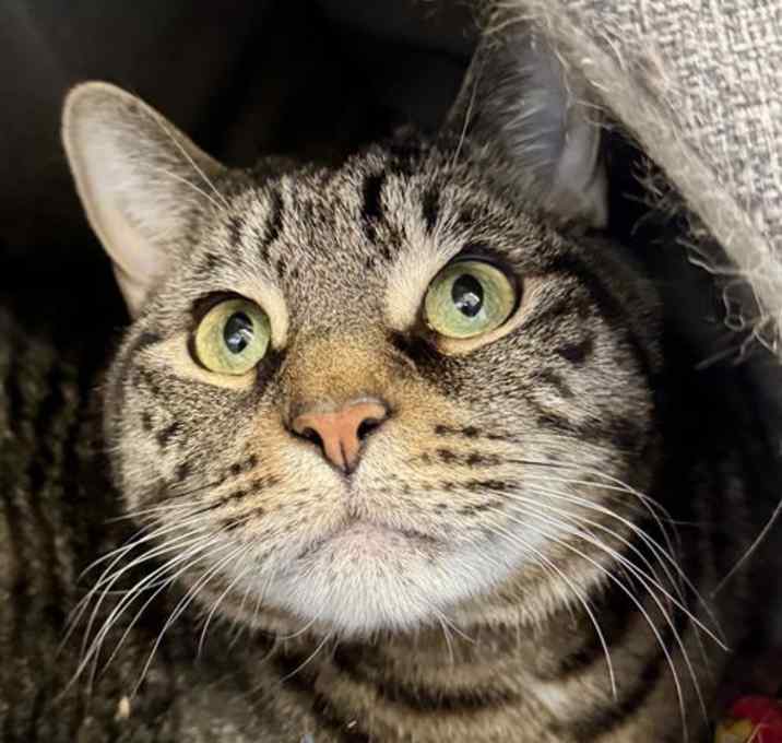 Photo of Rocky