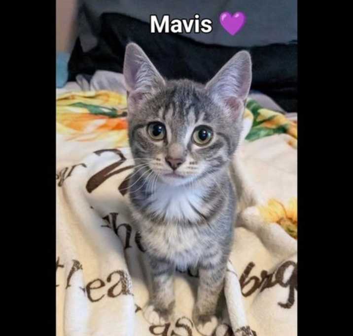 Photo of Mavis