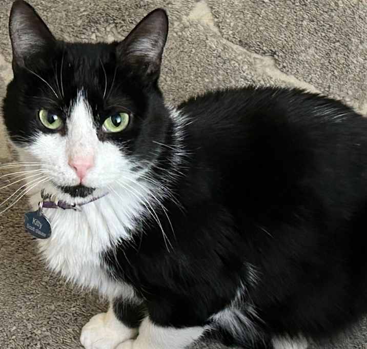 Photo of Kitty Scott Clause