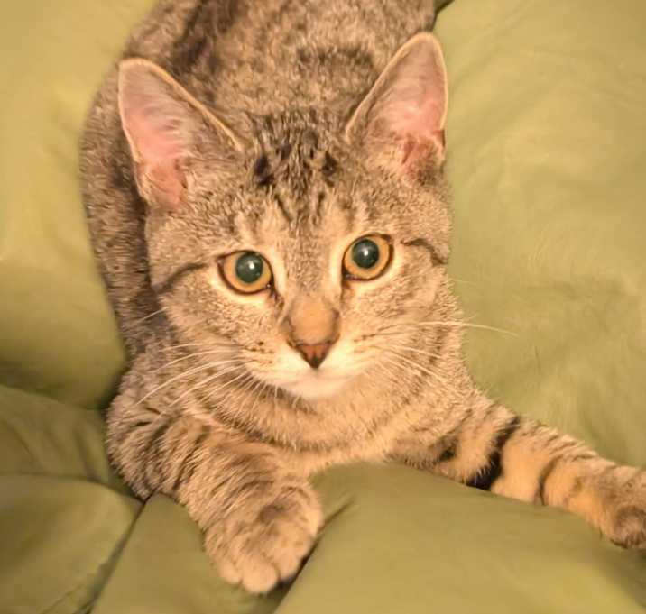 Photo of Ahoy