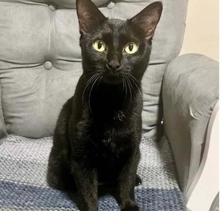 Photo of Taro