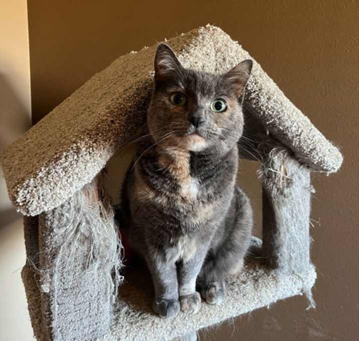 Photo of Sparkle