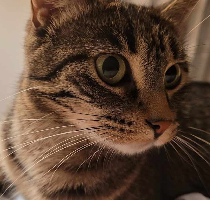 Photo of Baby Girl