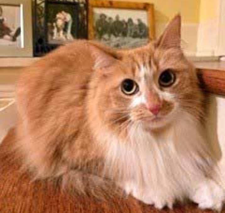 Photo of MOLLY