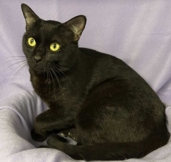 Photo of Lunar