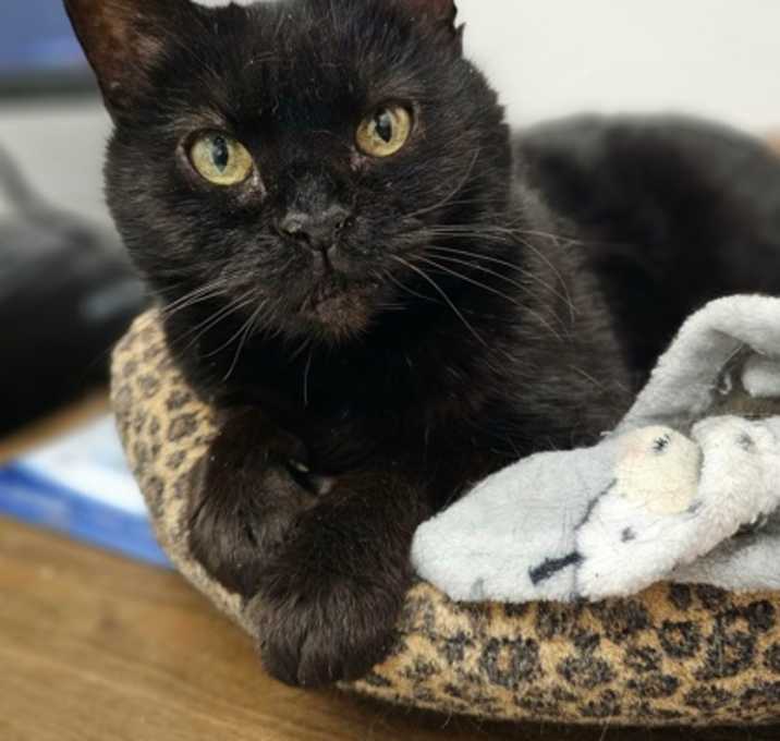 Photo of Shirley