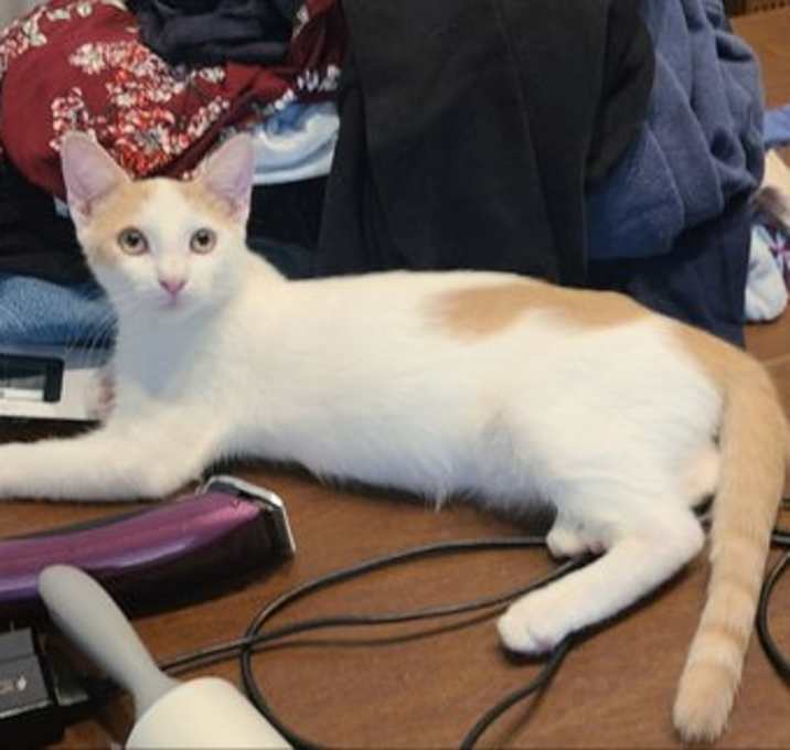 Photo of PJ