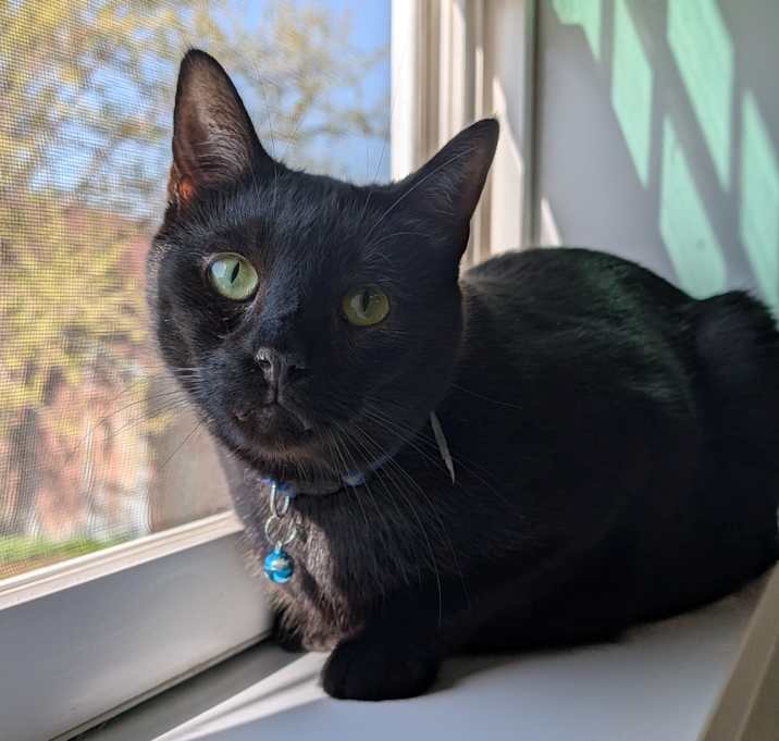 Photo of Frosty