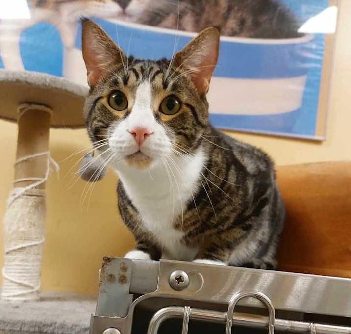 Photo of Marley