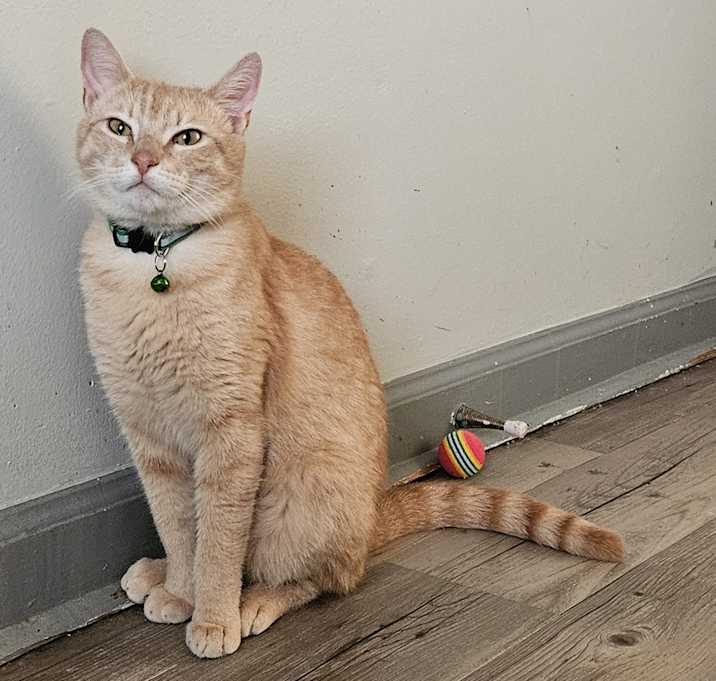 Photo of Warrick