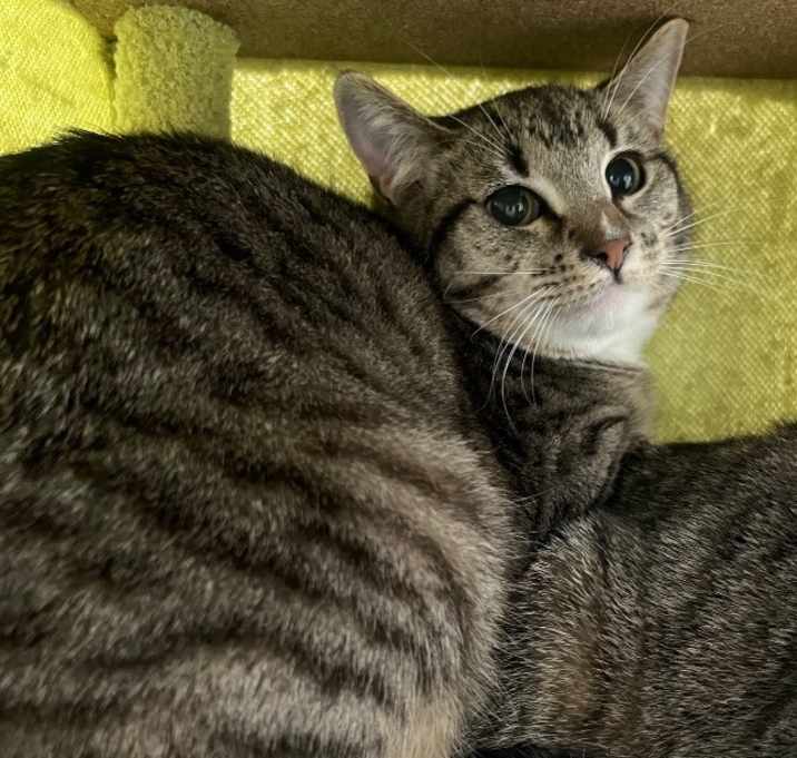 Photo of Lisa
