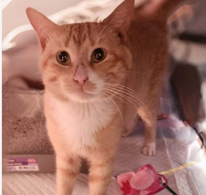Photo of Jasper Bean