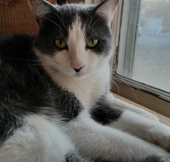 Photo of Benjo