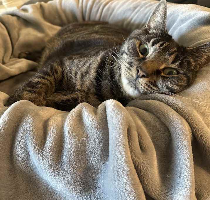 Photo of Todd