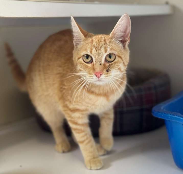 Photo of Sugar