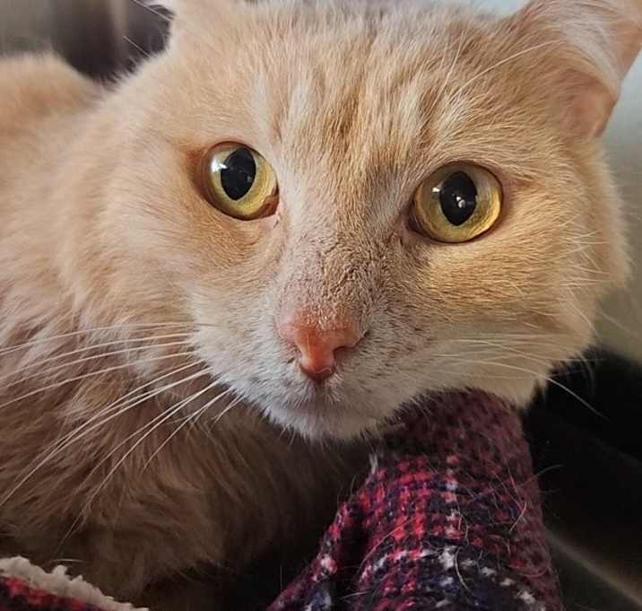 Photo of Aiden