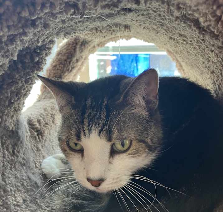 Photo of Keeba