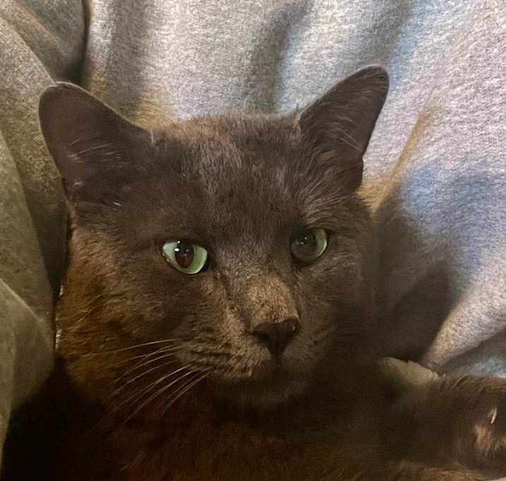 Photo of Ghost