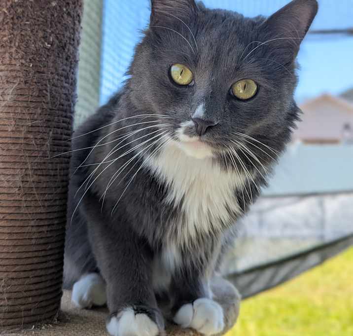 Photo of Blue