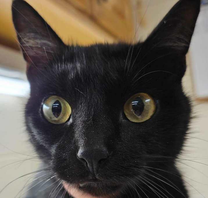 Photo of Chuckles 