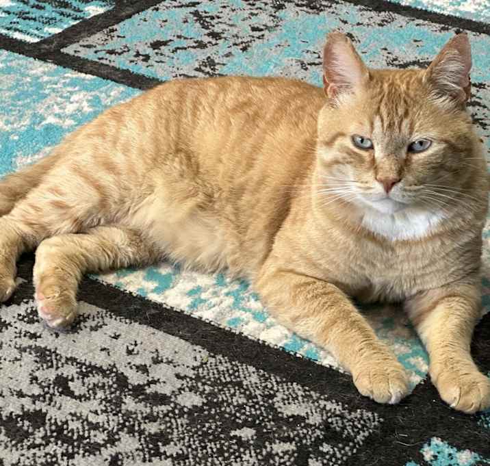Photo of Hobbs